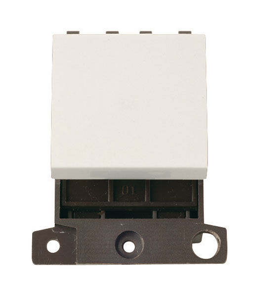 CLICK 20A DP DOUBLE WIDTH MODULE
