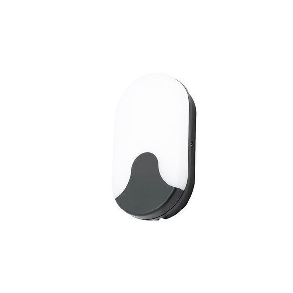 COAST RANGE TURUS OVAL 15W LED BULKHEAD, BLACK POLYCARBONATE/OPAL DIFFUSER, IP65, CLASS 2 